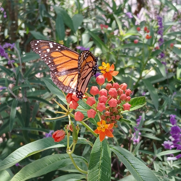 Meet your Posher, Kathy - Picture 3 of 3